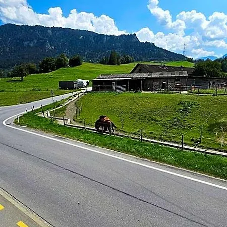 Hotel Landgasthof Zum Glenner 3*