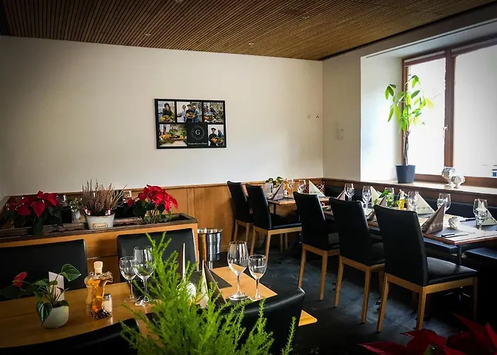 Hotel Landgasthof Zum Glenner 3*